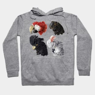 Bird head illustration Hoodie